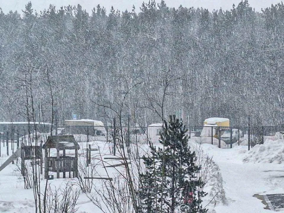 Оттепель до +3 градусов и мокрый снег: прогноз погоды в Москве и Подмосковье на начало марта
