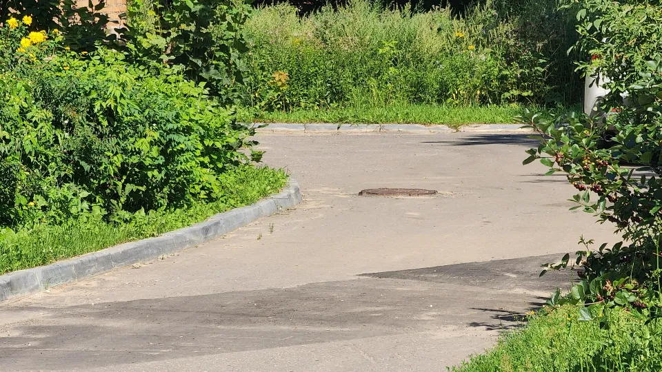 Фото: REGIONS/Алена Притула