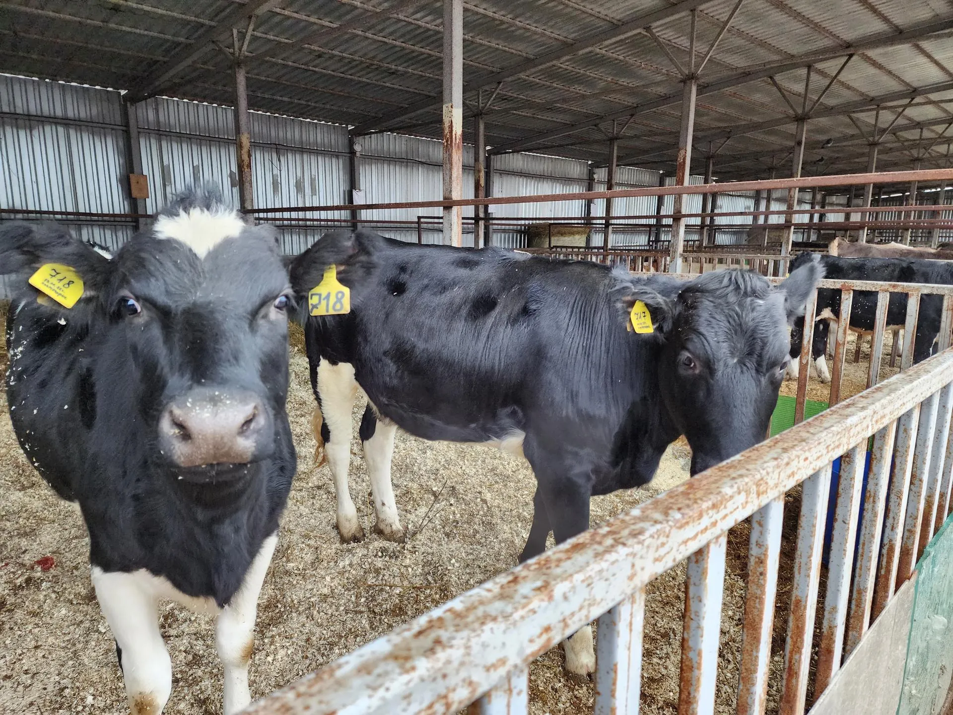 Мария Андрюхина