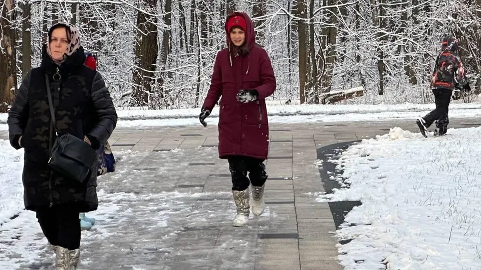 Фото: Министерство благоустройства Московской области