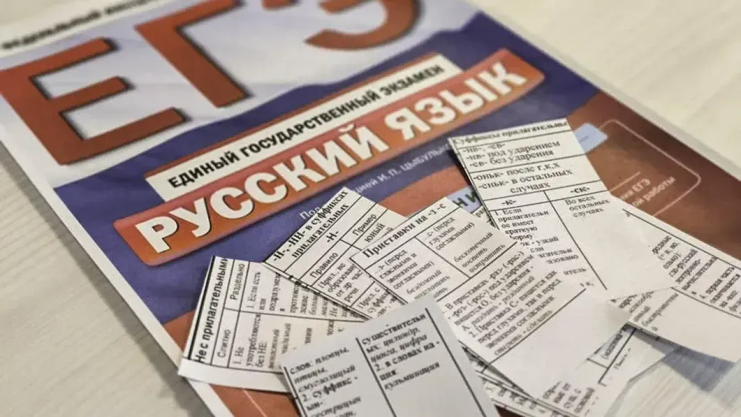 Подмосковье Сегодня/Дарина Левкина