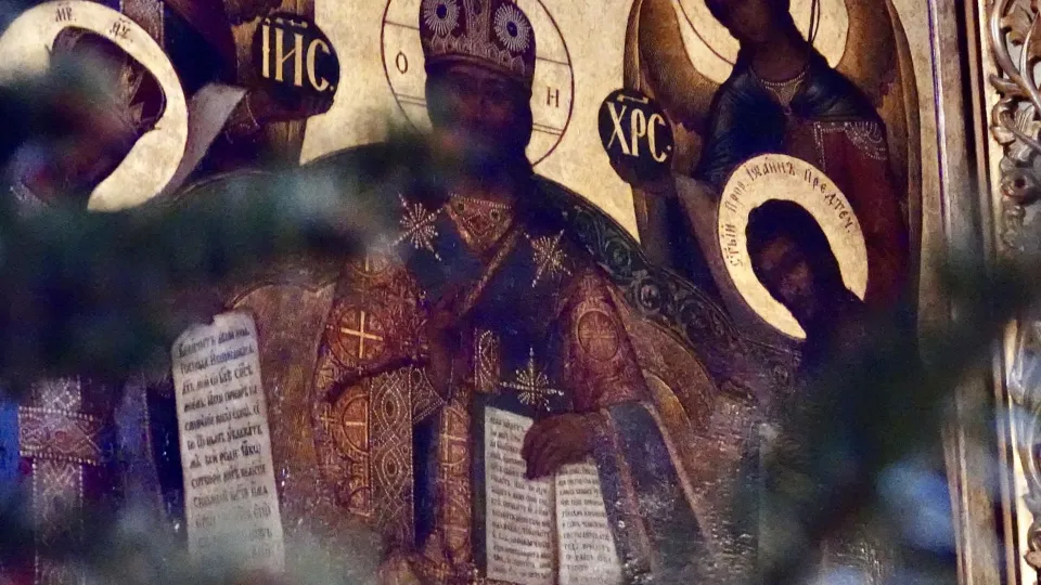 Фото: МедиаБанк Подмосковья/Дарья Леонова