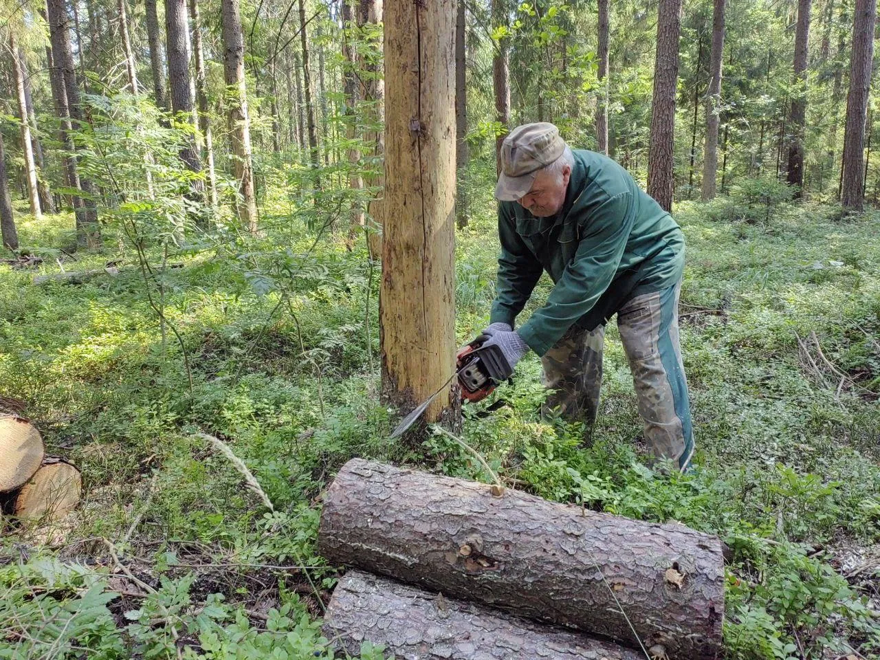 Фото: администрация городского округа Дубна&nbsp;&nbsp;