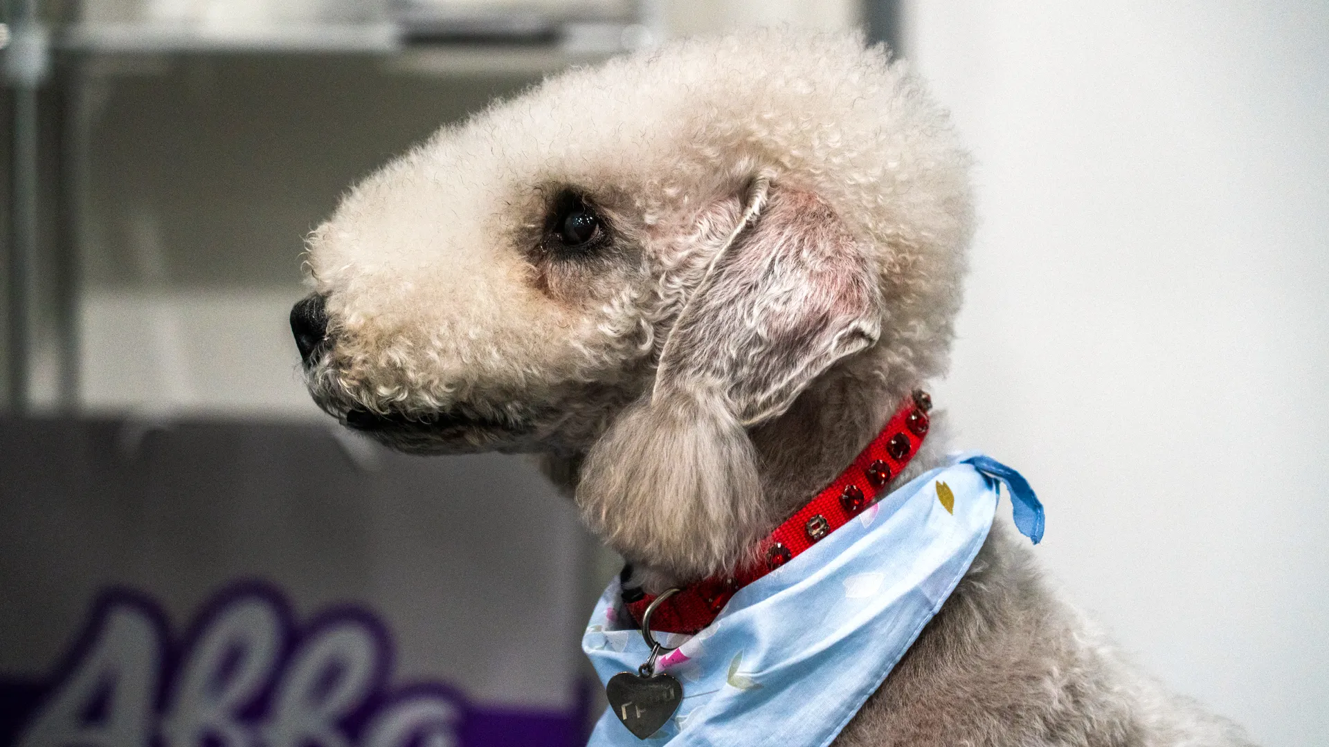 медиасток.рф