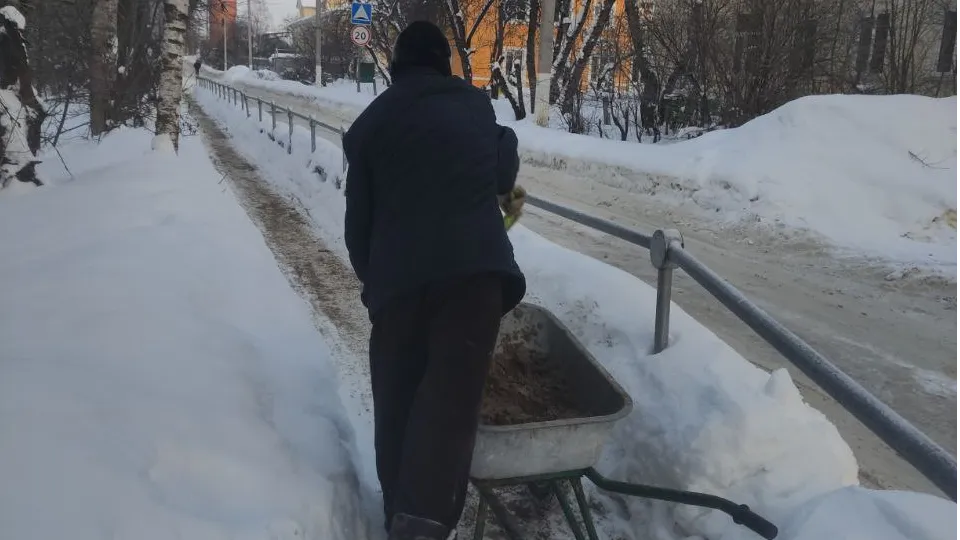 Фото: пресс-служба администрации г.о. Долгопрудный