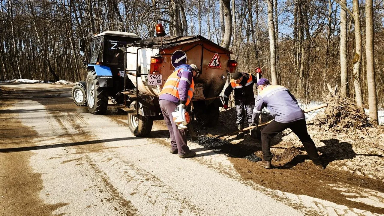 REGIONS/Мария Панина