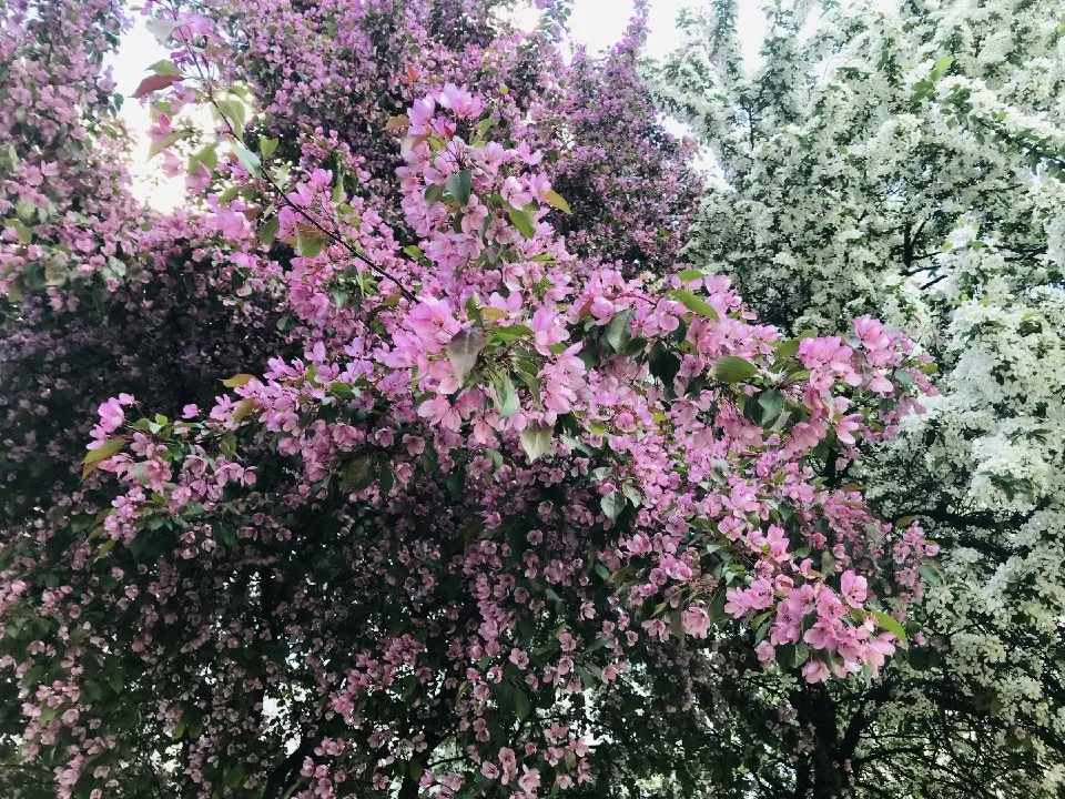 Фото: МедиаБанк Подмосковья/Анна Епихова