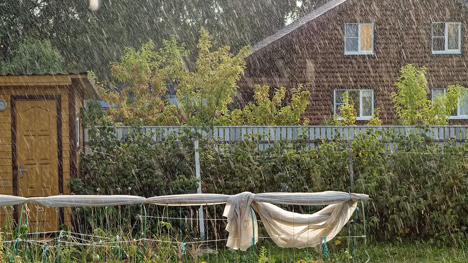 Фото: istockphoto.com