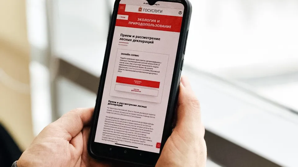 Фото: Комитет лесного хозяйства Московской области