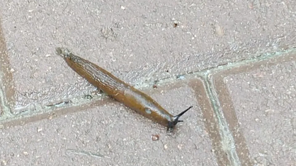 Фото: Анна Буглаева