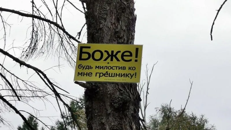 Жителей возмутили религиозные таблички, подпортившие деревья в Лобне