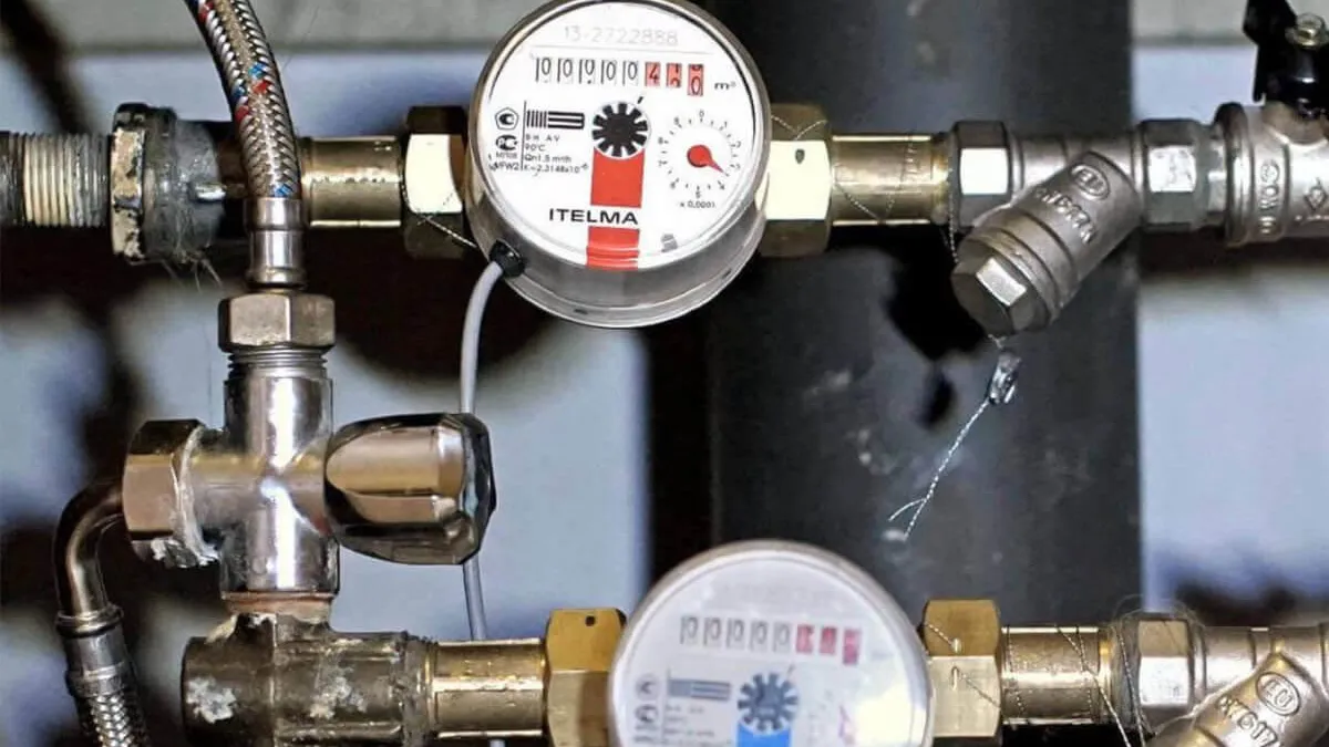 Фото: социальные сети