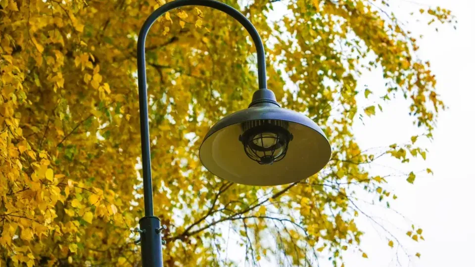 Фото: Министерство благоустройства Московской области