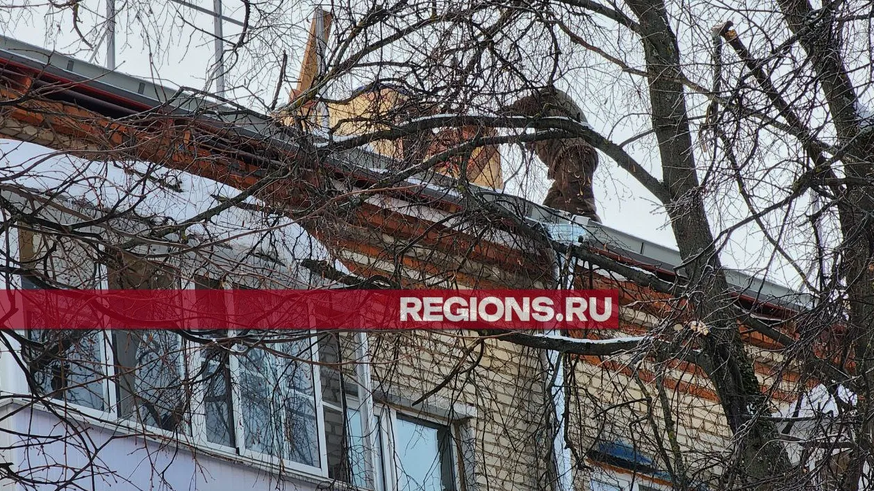 Фото: Роман Яковлев