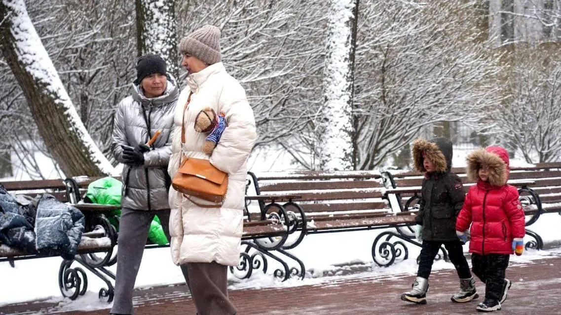 Фото: Министерство благоустройства МО