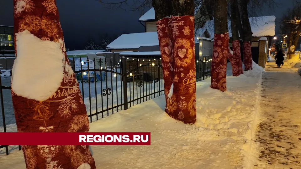 Фото: Екатерина Данилина