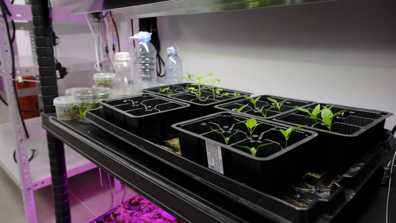 Мария Панина