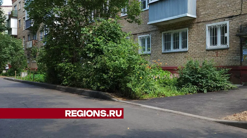 Фото: Валерия Тингаева