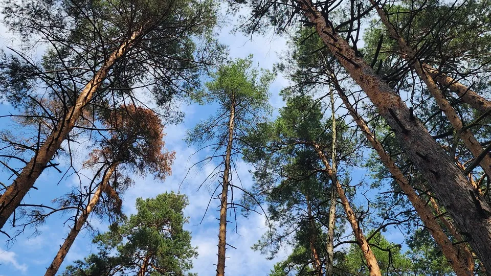 Фото: пресс-служба Администрации м.о. Луховицы