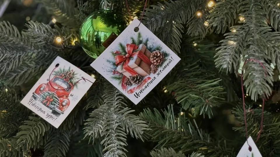 Фото: Полина Абраменко