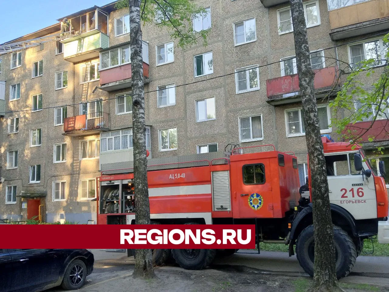 Фото: Regions / Василий Тремасов