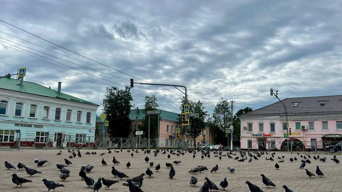 Фото: REGIONS/Татьяна Кордюкова