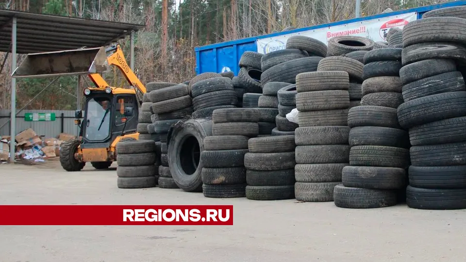 Фото: REGIONS/Василий Тремасов