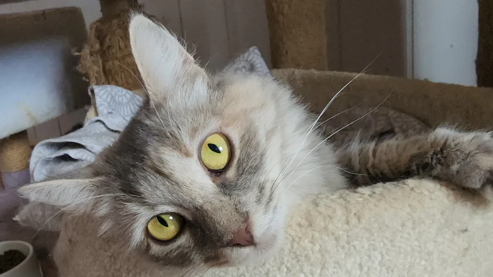 Фото: МедиаБанк Подмосковья/Максим Сафронов