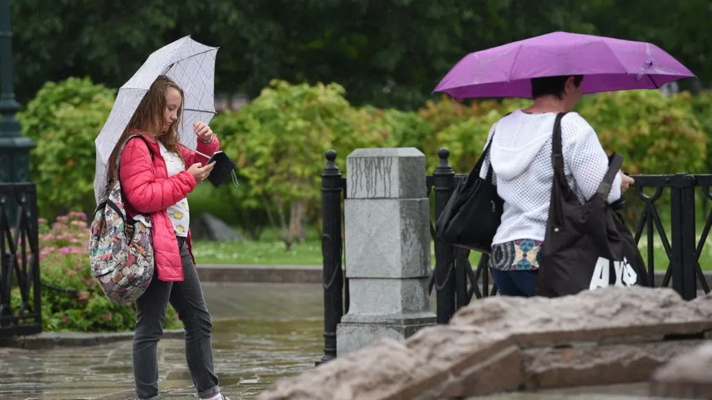 Фото: медиасток.рф