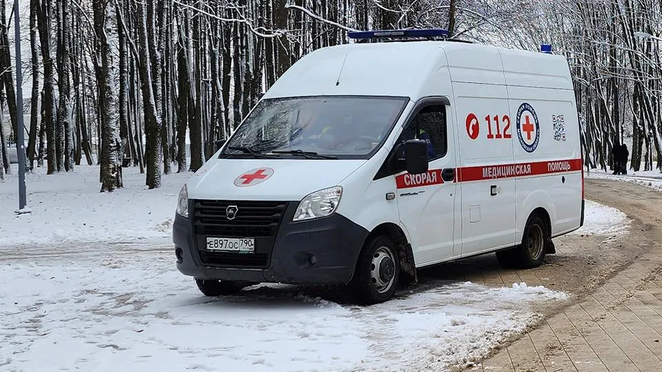 Фото: МедиаБанк Подмосковья/Анна Шолохова