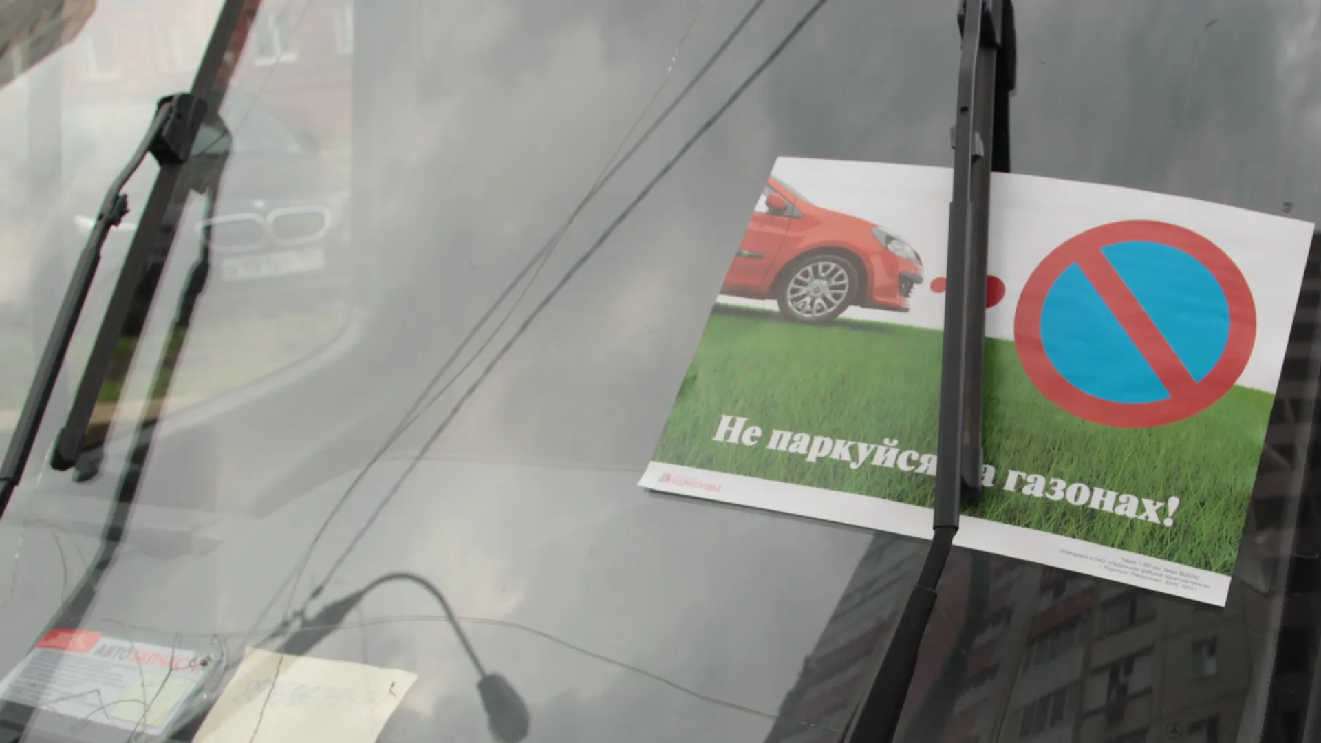 Фото: медиасток.рф