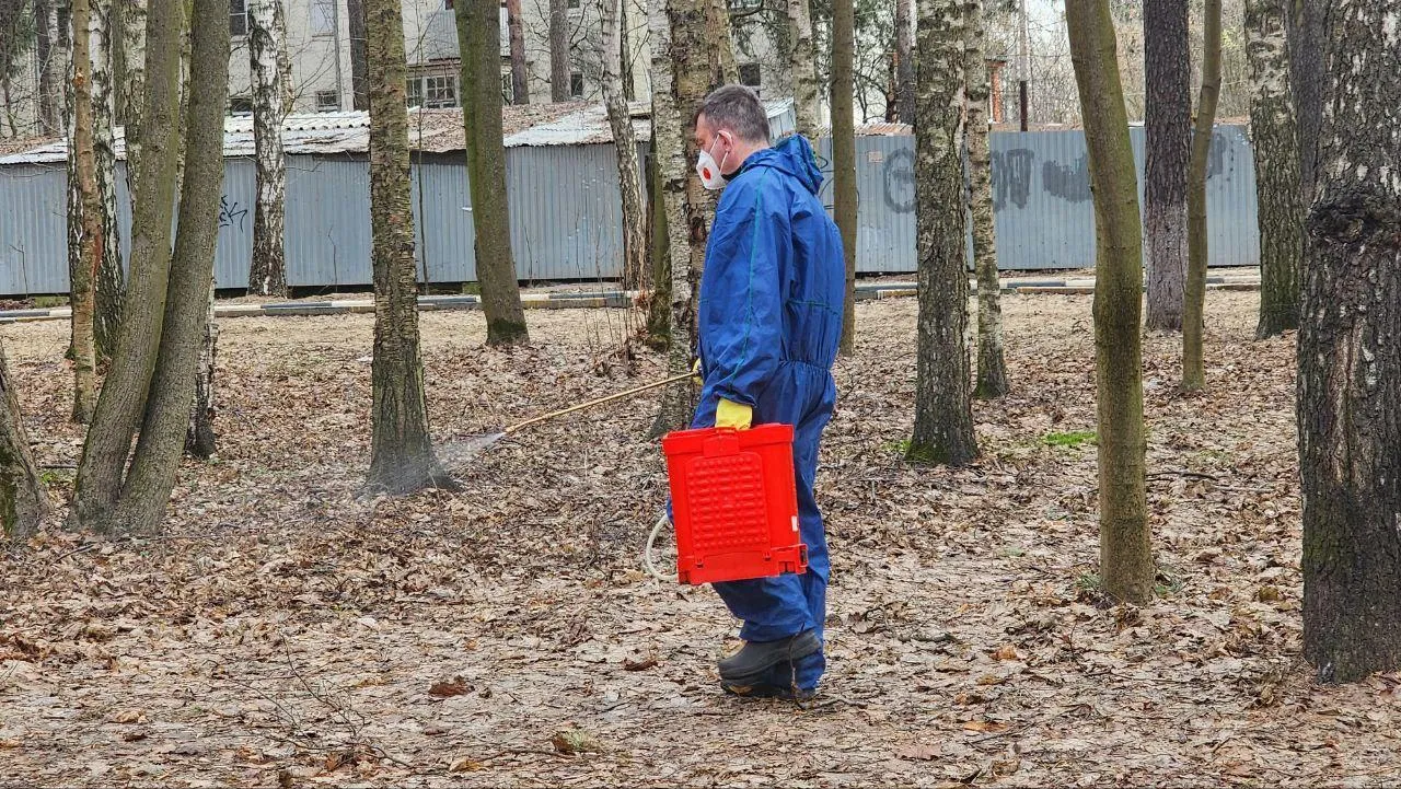 &nbsp;Фото: Наталья Лымарь