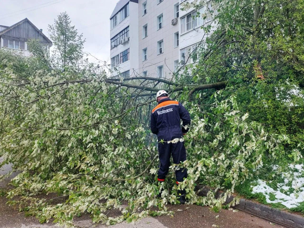 ГКУ МО «Мособлпожспас».