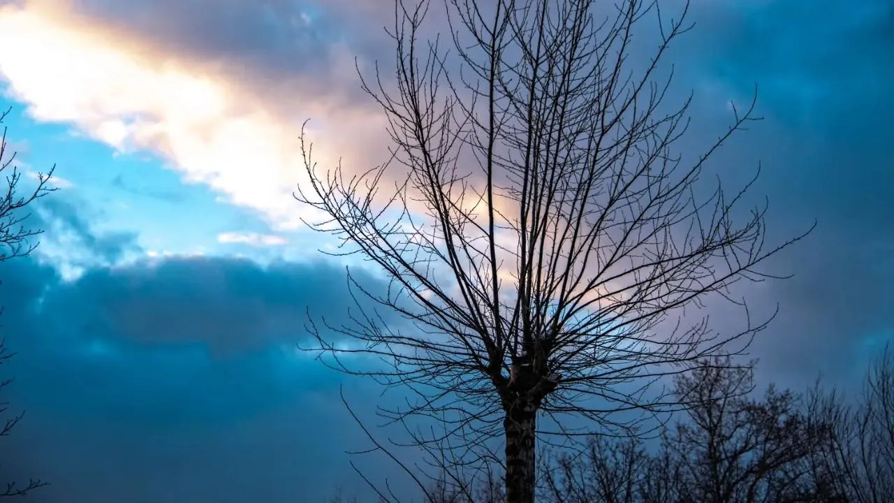 Серафим Мурзин