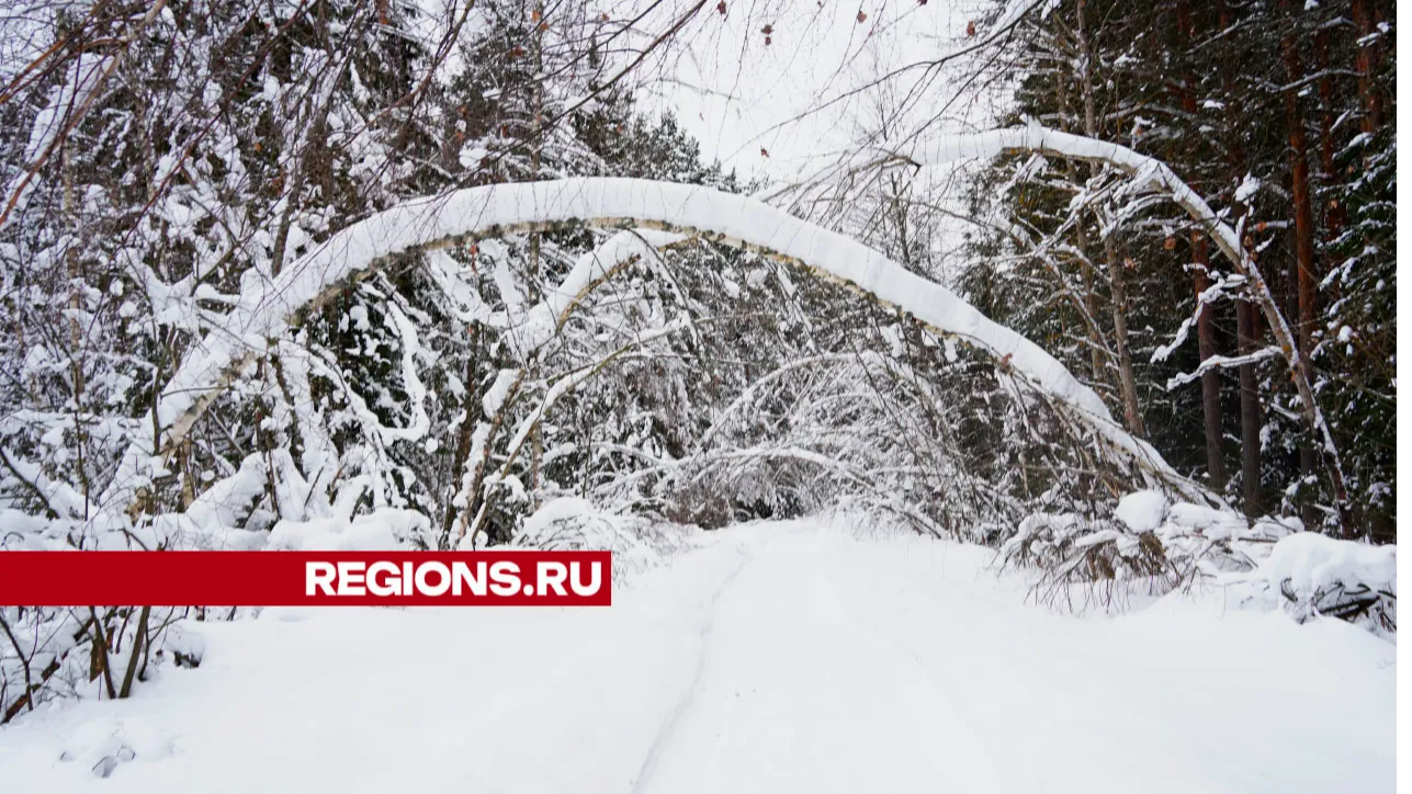 Фото: Анастасия Хренкова