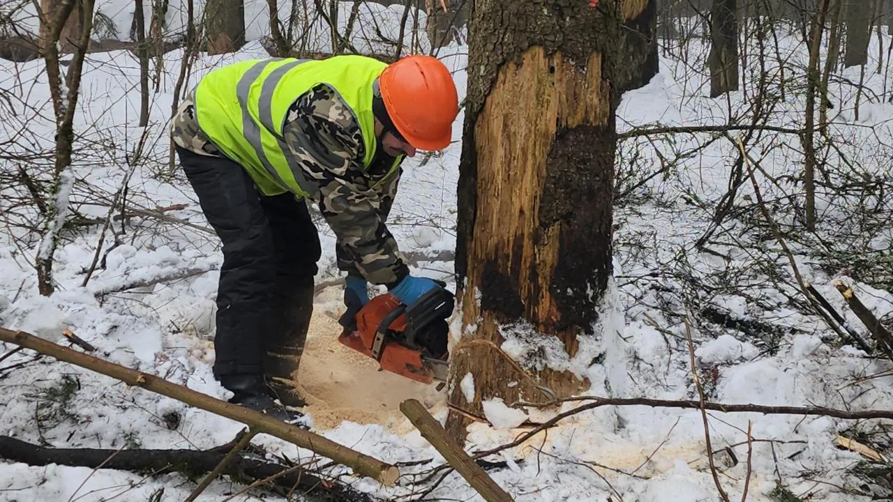 МедиаБанк Подмосковья/Андрей Алекин