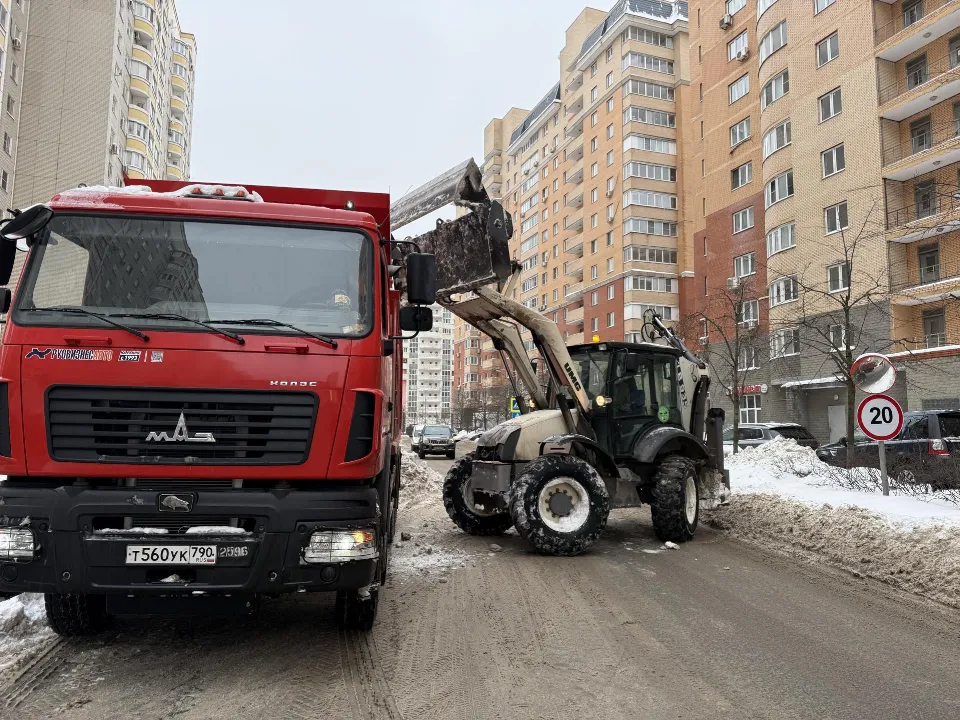 Фото: МедиаБанк Подмосковья/Анна Дука