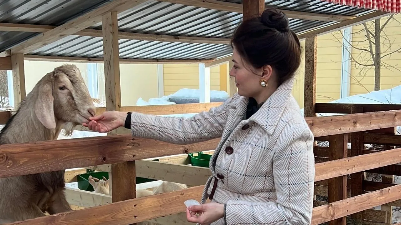 «Зеленый дятел»