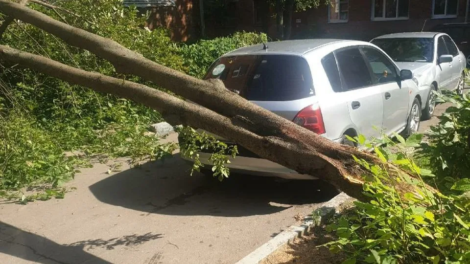 Фото: t.me/podolsk24life