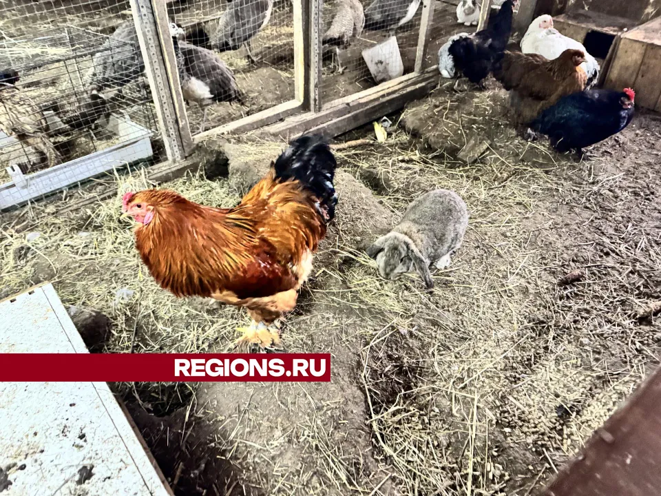 Фото: Татьяна Рунова