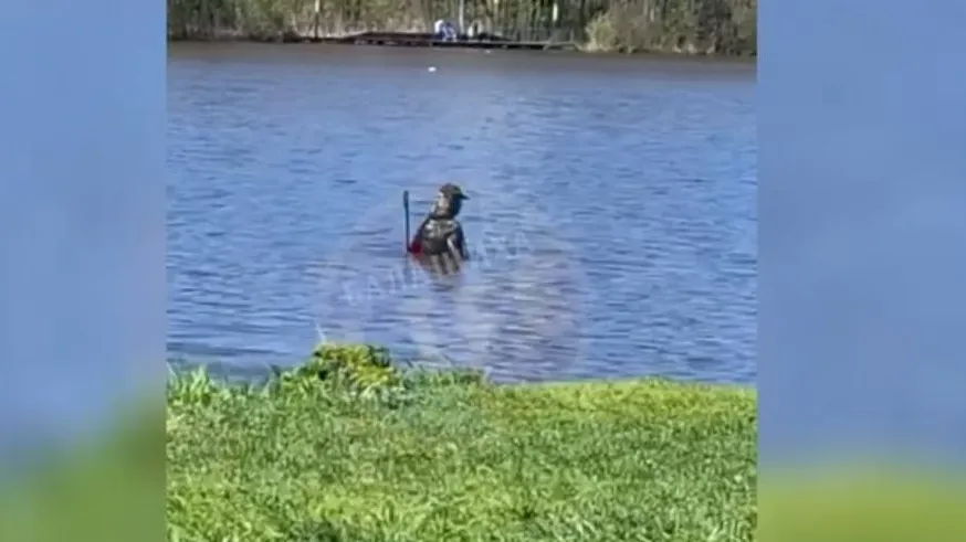 Фото: t.me/balashikha_life