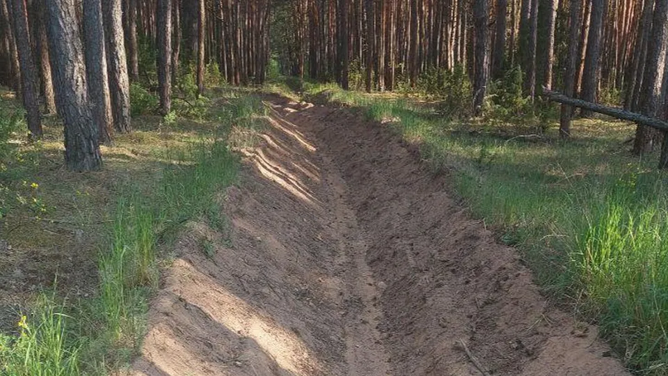 Фото: Комлесхоз Московской области