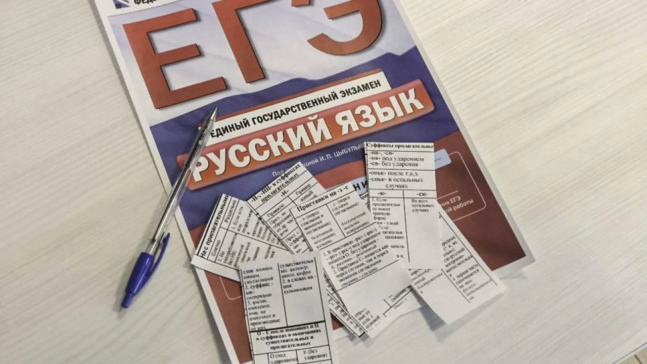 REGIONS/Дарина Левкина