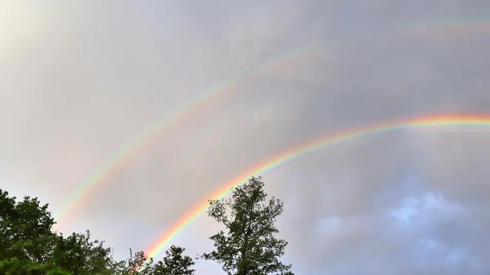 Фото: istockphoto.com