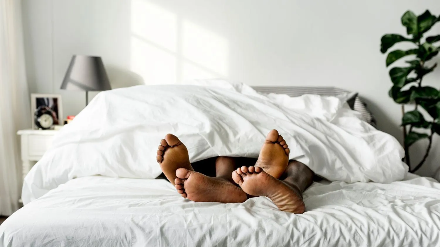 Фото: Pixabay.com