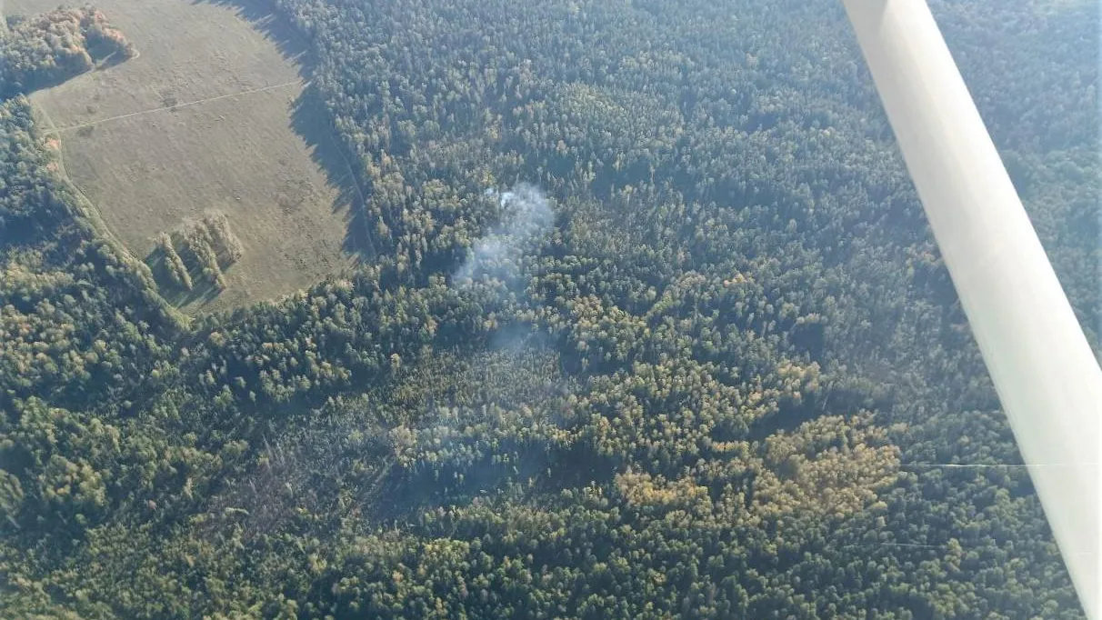 Комитет лесного хозяйства МО