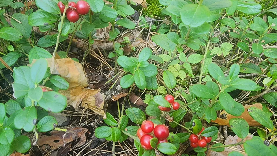 Фото: Михаил Мартыненко