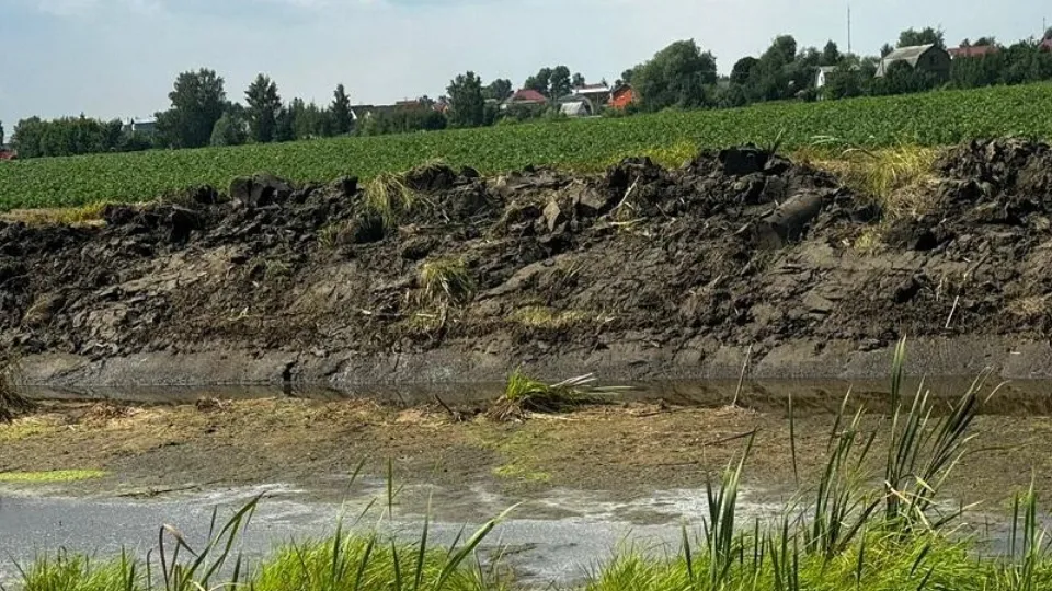 Фото: Минэкологии МО