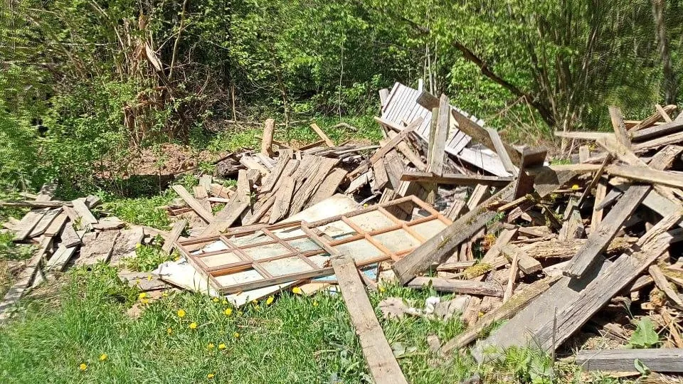 Комитет лесного хозяйства МО