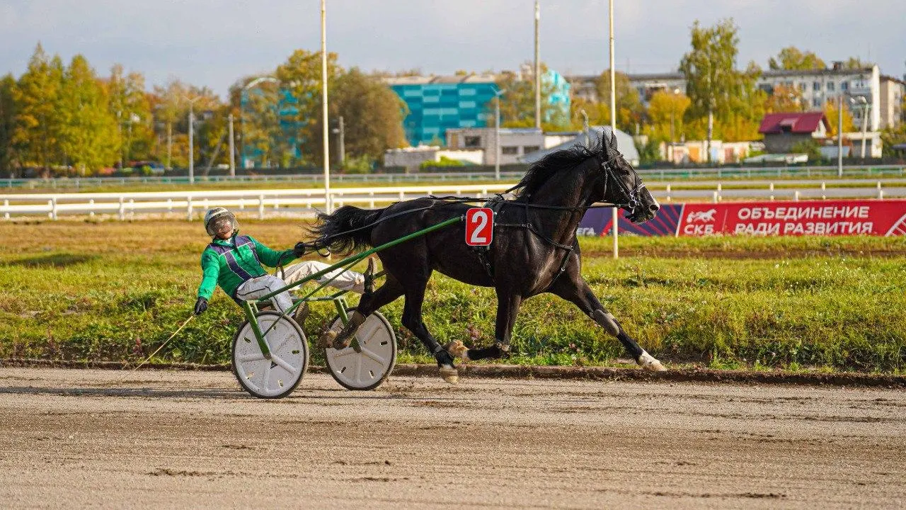Пресс-служба Минсельхозпрод МО